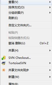 svn怎么用?svn使用教程(圖文)