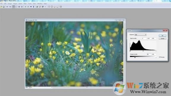 SunlitGreen BatchBlitz(圖片批量編輯器)v3.4.0.1630