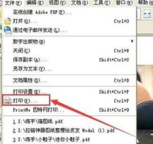 PDF格式怎么打?。縫df文件快速打印的操作方法