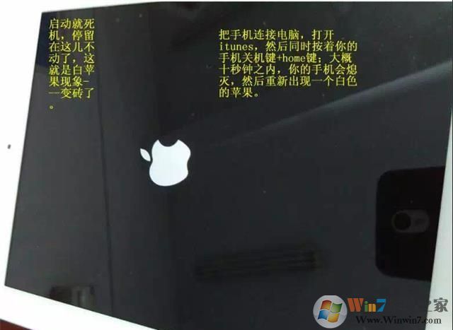 蘋果手機/iPAD白蘋果(白色蘋果LOGO無法啟動)怎么恢復(fù)方法