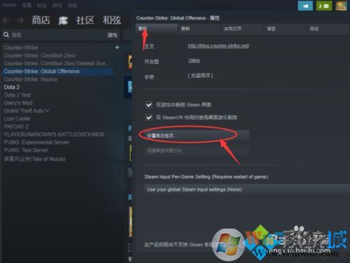 csgo優(yōu)化啟動項(xiàng)讓游戲更流暢方法