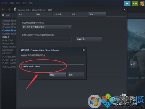 csgo優(yōu)化啟動項(xiàng)讓游戲更流暢方法