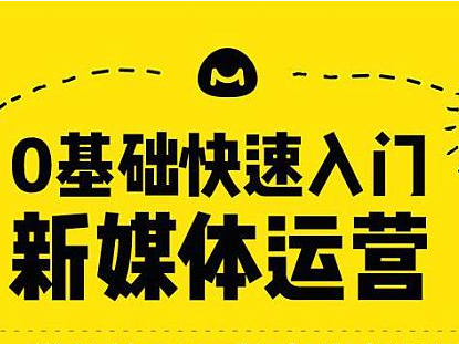 0基礎(chǔ)快速入門新媒體運(yùn)營(yíng)培訓(xùn)教程完整版百度網(wǎng)盤資源