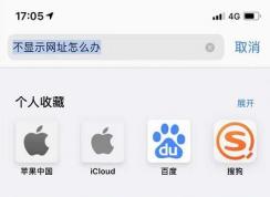 蘋果手機(jī)/iPad無法復(fù)制瀏覽器網(wǎng)址的解決方法