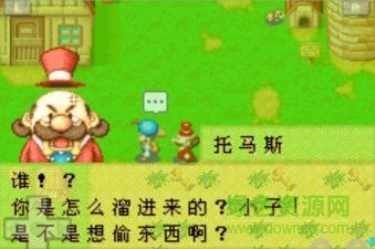 牧場(chǎng)物語(yǔ)豪華破解版下載