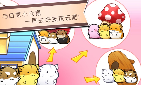倉(cāng)鼠的日常無(wú)限奶酪