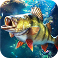 歡樂(lè)釣魚(yú)大師內(nèi)置菜單版