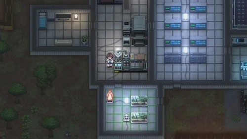 秩序:新曙光2025