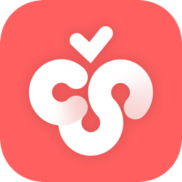 Cherry Studio v1.2.9正版